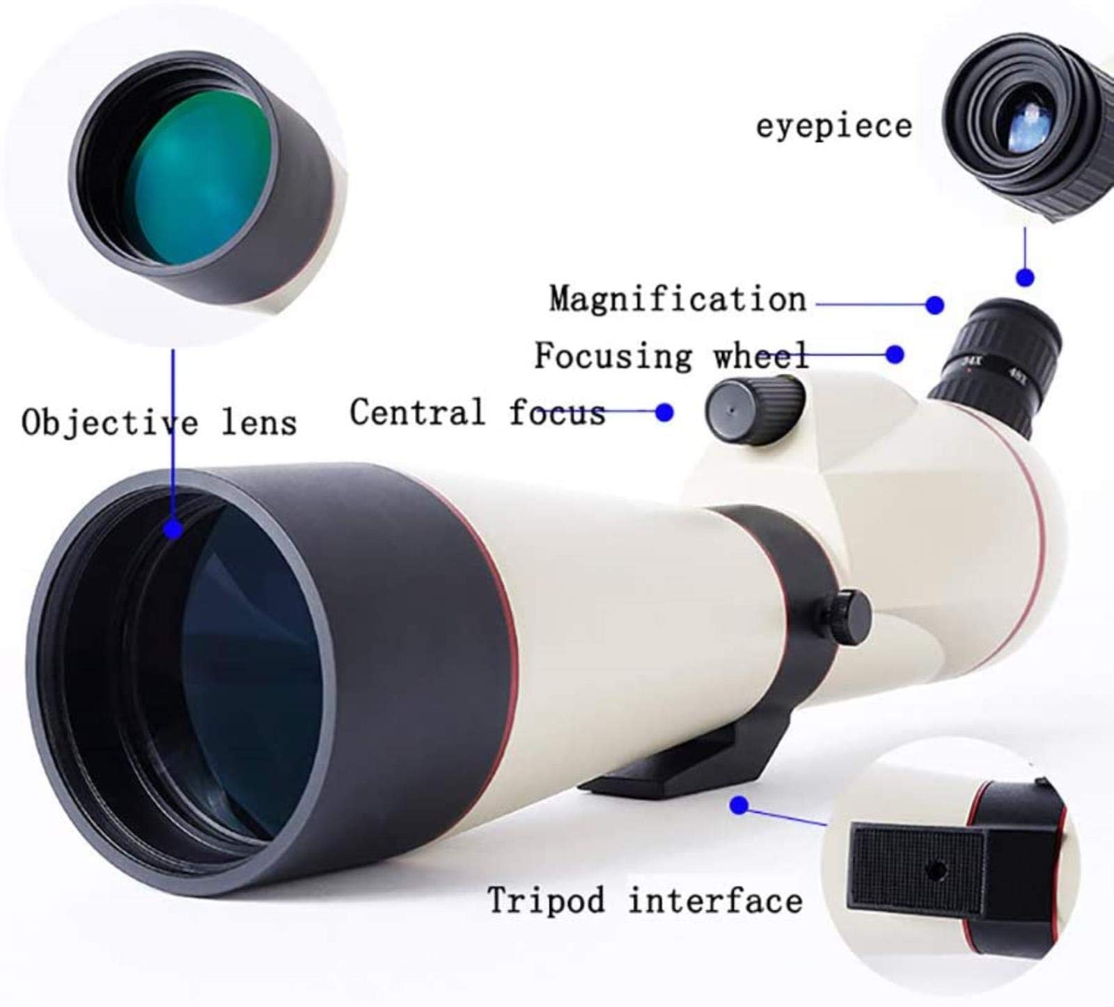 Telescopio per Bambini e Principianti, telescopio rifrattore da Viaggio da 80 mm per Astronomia, per l'osservazione della Luna, Birdwatching, Visite turistiche, per Interni/Esterni