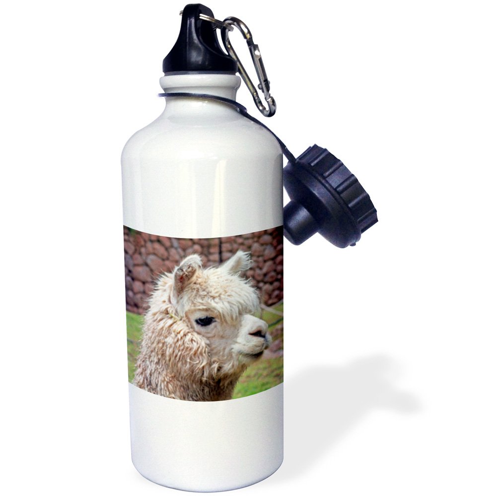 3dRose "Peru. Alpaca wildlife, Awana Kancha, Urubamba Valley SA17 KWI0128 Kymri Wilt" Sports Water Bottle, 21 oz, White