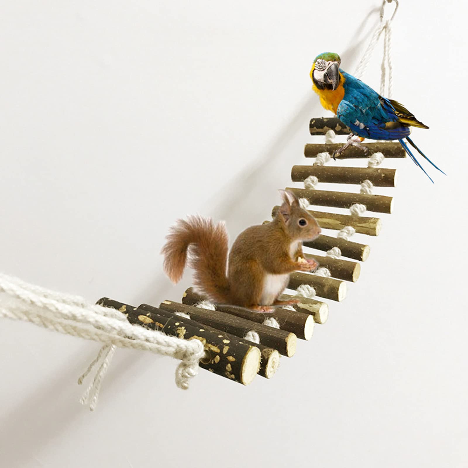 Echelle à Oiseaux Oiseaux Balançoires Echelles Pont pour Perroquets Jouets Suspendre Perroquet éChelle de Perroquet Naturelle, pour Perruches Perruches Perroquets Gris Africain