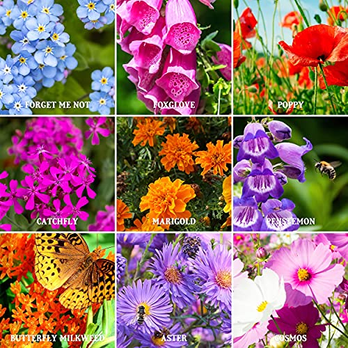 The Old Farmer's Almanac Premium Wildflower Seeds (23 Variety Pollinator Mix) - Non-Gmo, Open Pollinated - Columbine Cosmos Foxglove Larkspur Poppy Snapdragon Zinnia. Attracts Butterflies Bees Birds #TOP3