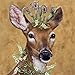 Paperproducts Design Woodland Princess Vicki Sawyer Luncheon Paper Napkins (20 Pack), 6.5" x 6.5", Multicolor