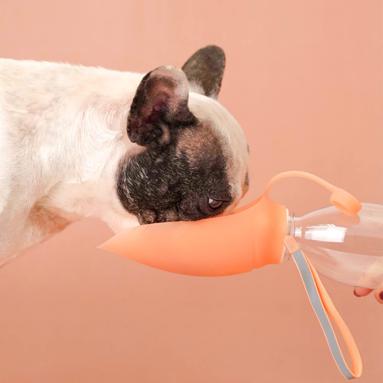 Fuente Portátil para Beber al Aire Libre, Suministros para Mascotas, Perro, Salir, Beber, Botella de Agua, Taza de Acompañamiento, Viaje, Perro, Caminar, Almacenamiento Conveniente