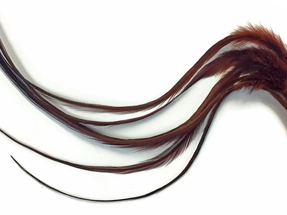 Moonlight Feather, Hair Extension Feathers - 6 Pieces - Solid Brown Thick Long Rooster Hair Extension Feathers
