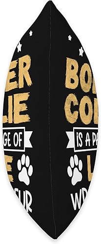 Miniatura 2 de Border Collie Shirts & Dog Lover Gifts A Package of Love Wrapped in Fur-Border Collie - Almohada de 16 x 16 pulgadas, multicolor