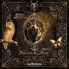 『Bernstein und Asche』のカバーアート
