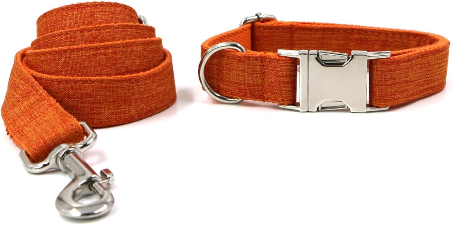 Collier pour Chien, et Ensemble de Laisse réglable(Orange,X Large)
