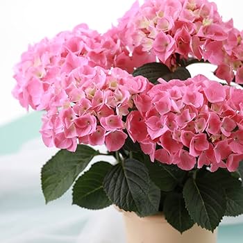 Flowerさま専用 Flower Strap 2way Tops