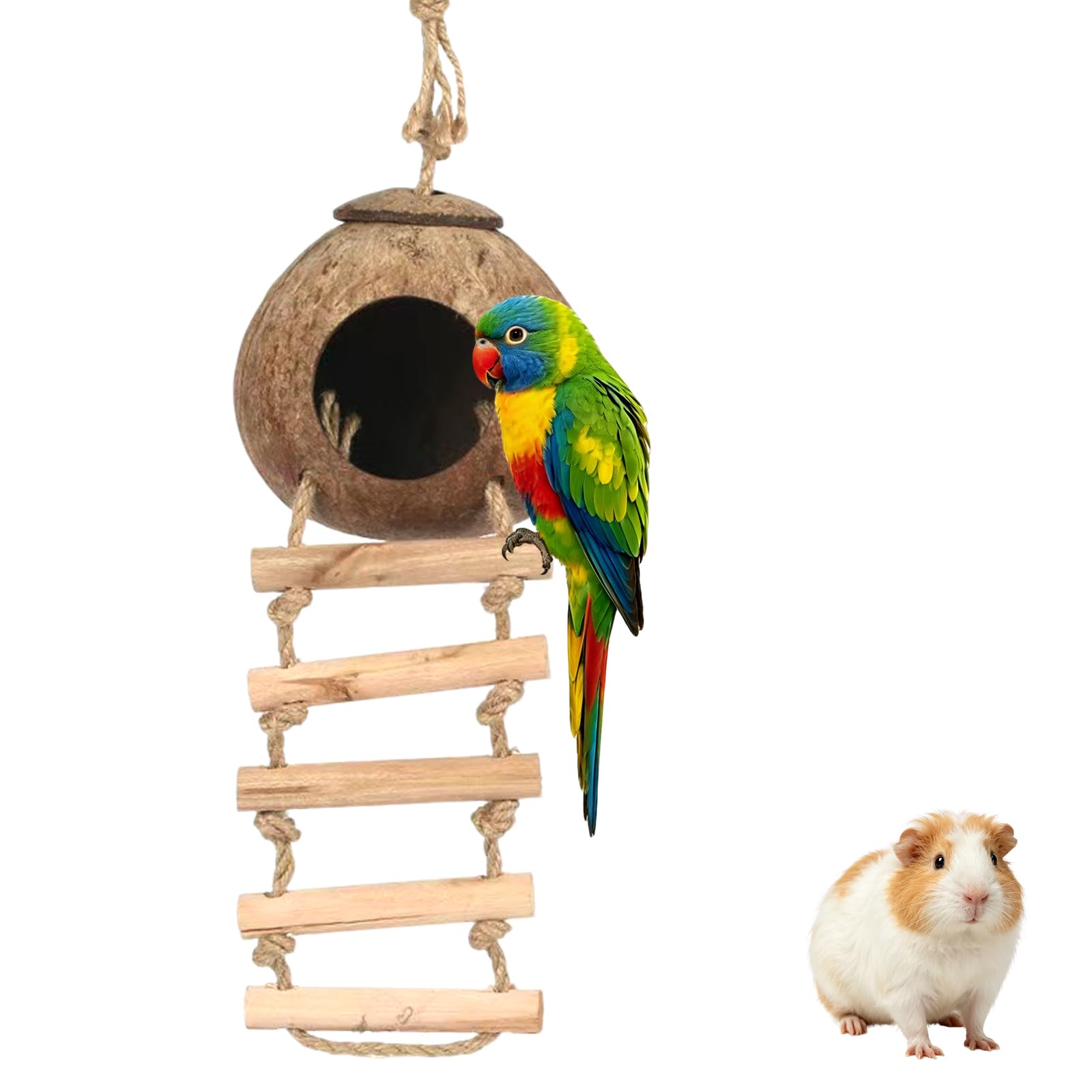 Gecko Coconut Husk Hut, Natural Reptile Hideouts with Ladder Hanging Loop