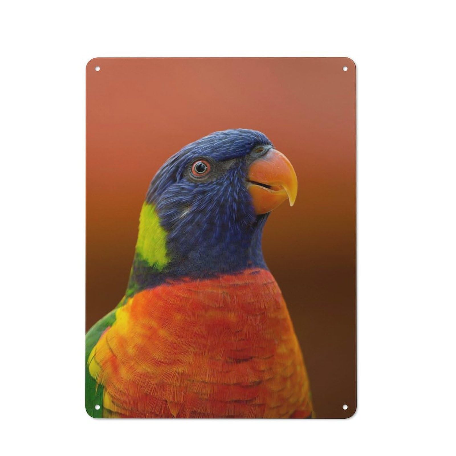 Junmoney Style-23 Metal Sign 40X30cm With Rainbow Lorikeet Portrait For Pub Or Café, Vintage Decor, For Metal Sign Collectors, For Garage And Workshop Walls