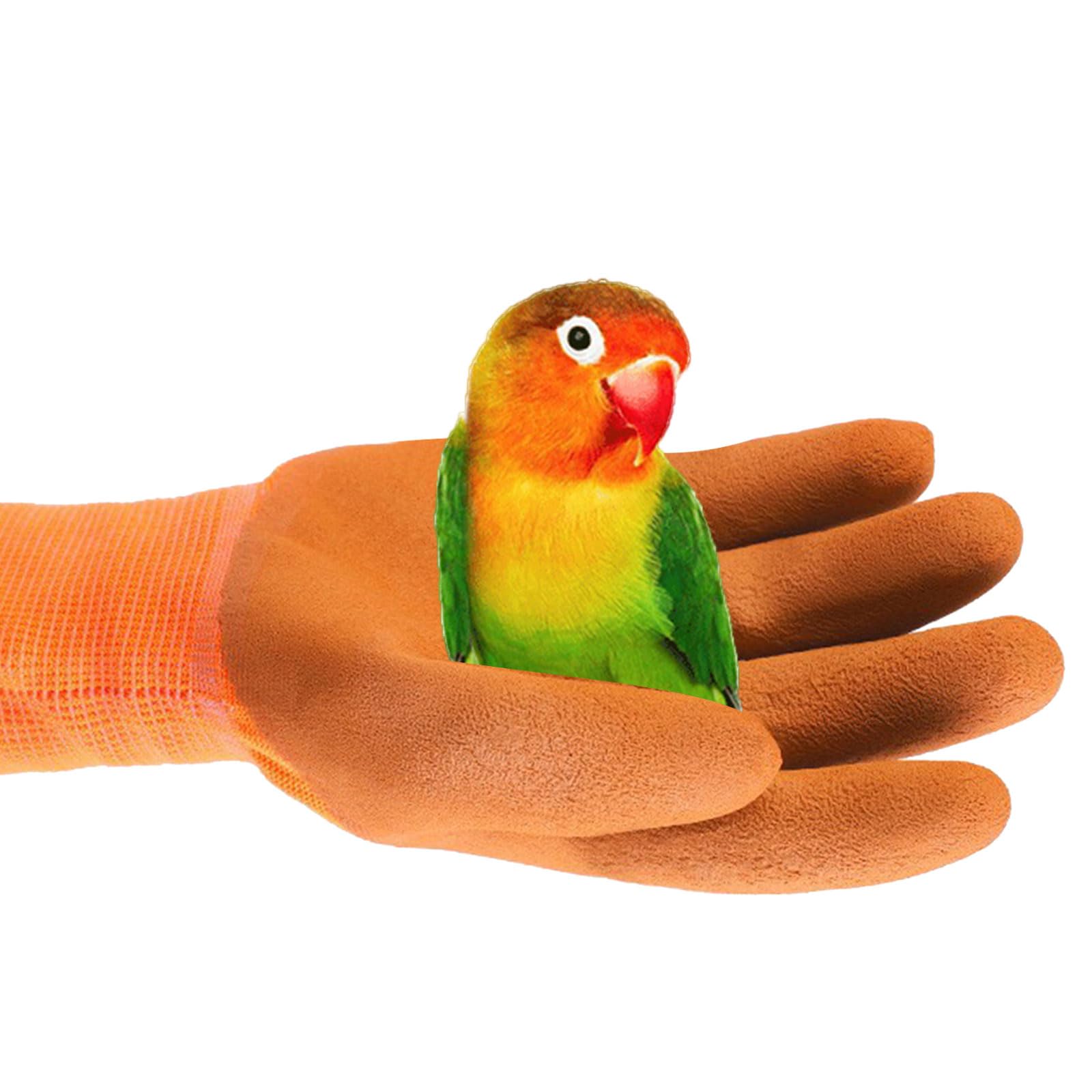 Guanti Protettivi Per Piccoli Animali | Per Criceti, Ricci, Cincillà E Uccellini | Anti-morso E Anti-graffio | Morbidi E Traspiranti