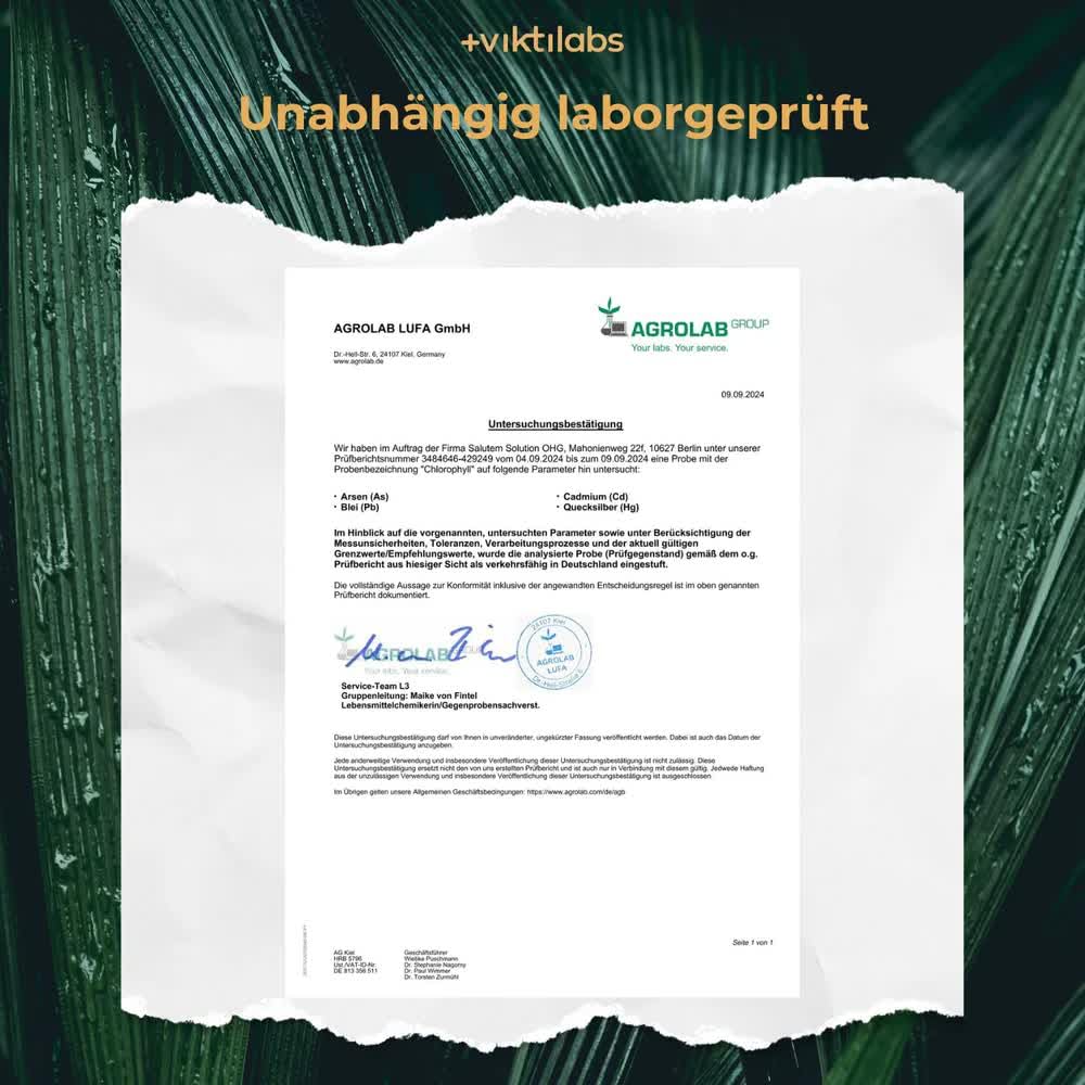 Chlorophyll - natürliches Chlorophyllin aus Alfalfa - hochdosierte Tropfen - 200 mg pro Tagesdosis - 75 Tropfen pro Tag - 2700 vegane - ohne Zusatzstoffe
