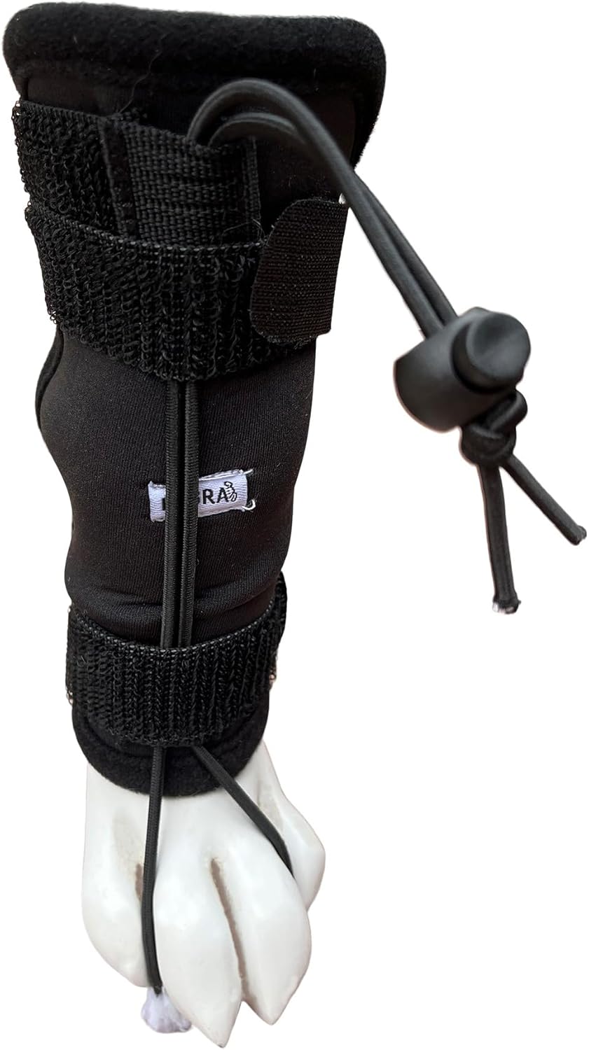Labra Dog Canine Knuckling Corrector Brace Wrap for Front Paw Leg (L/XL