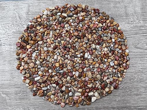 Image of GAF TREASURES 2 oz Lot Natural Crazy Lace Agate Semi Tumbled Gemstone Chips, Crushed Mini Crystals, Undrilled Crystal Chips (Crazy Lace Agate)