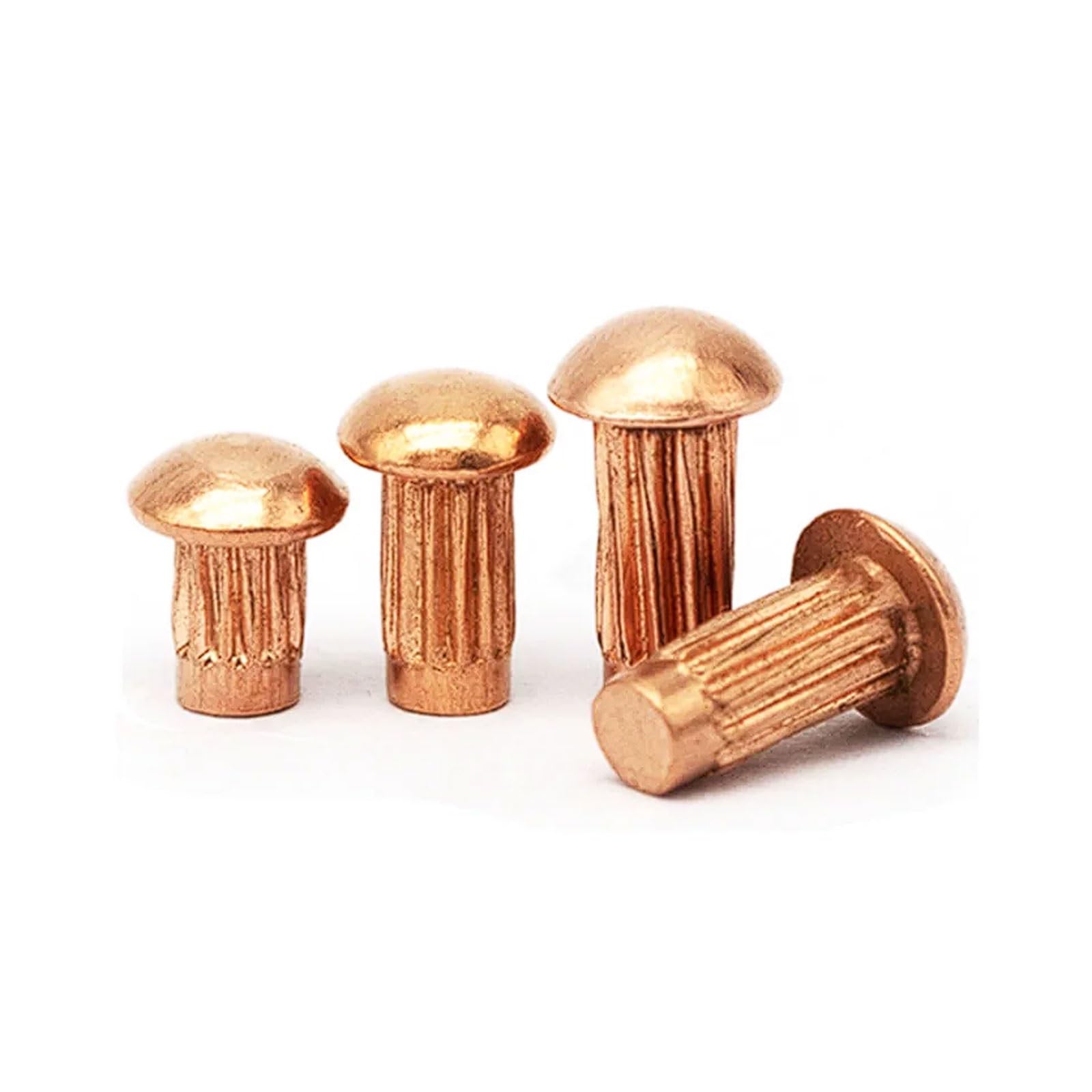 Knurled Copper Nameplate Rivets, Semi-Circular Flat Head Solid for Nameplates and Trademarks(2 * 8 (100 Pieces))