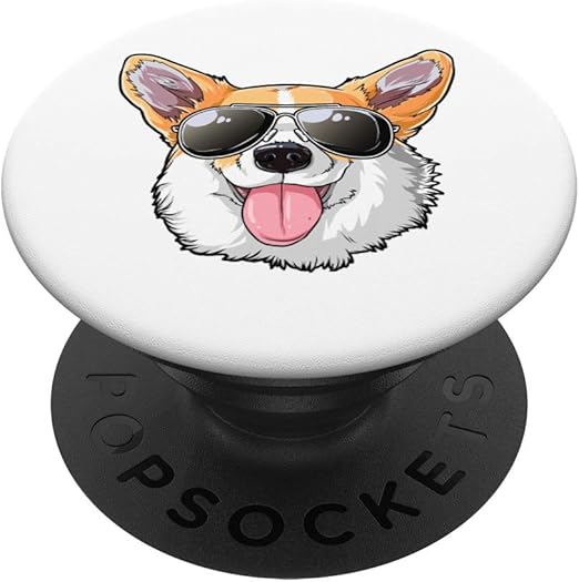 corgi sunglasses