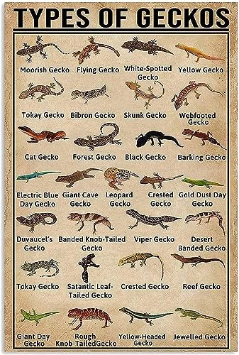 peiyeety Geckos Knowledge Vintage Metal Tin Signs Posters School Education Club Animalerie Bibliothèque Bureau Home Art Décoration murale Metal Signs 8