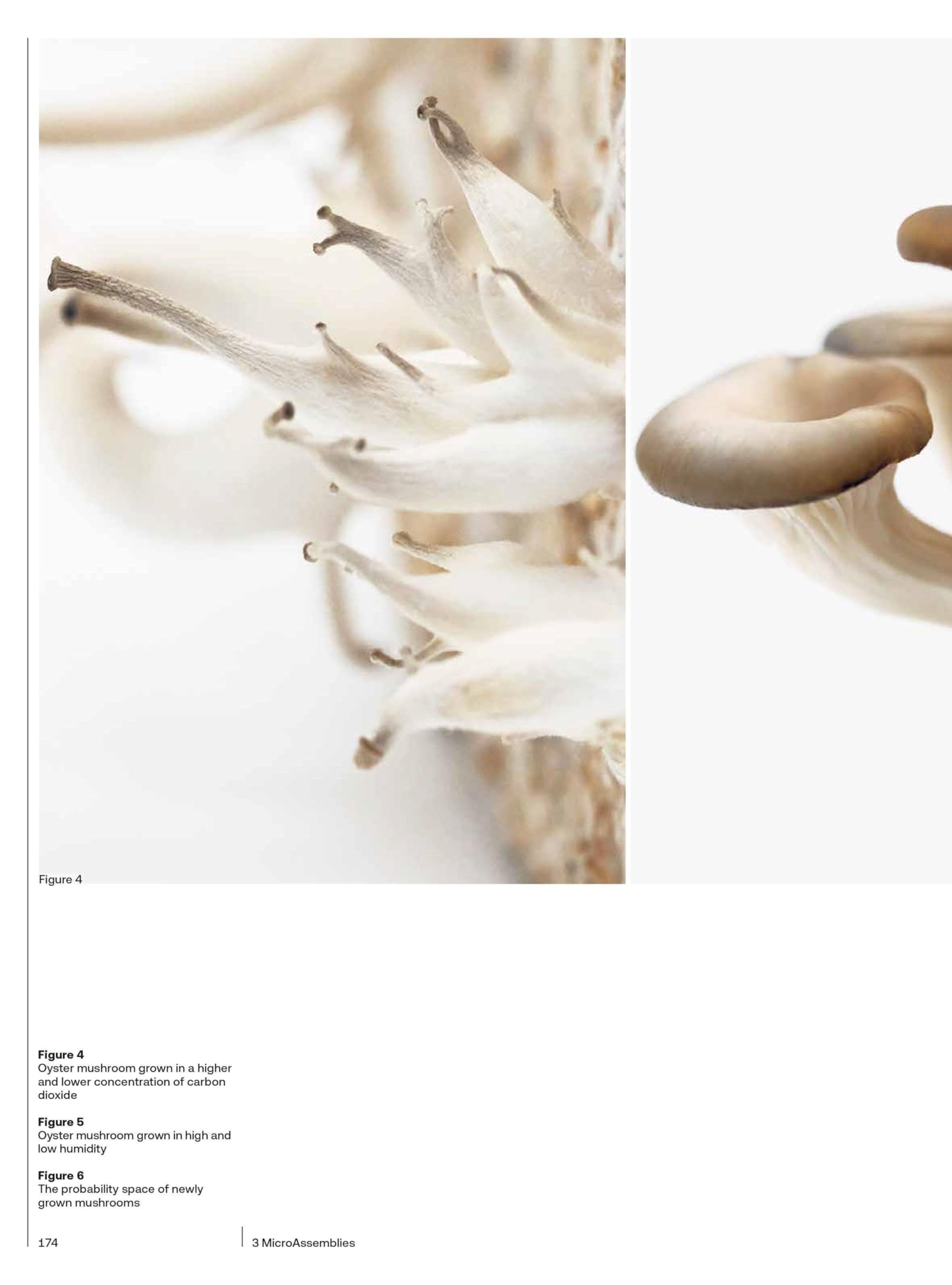 BioProtopia: Designing the Built Environment with Living Organisms