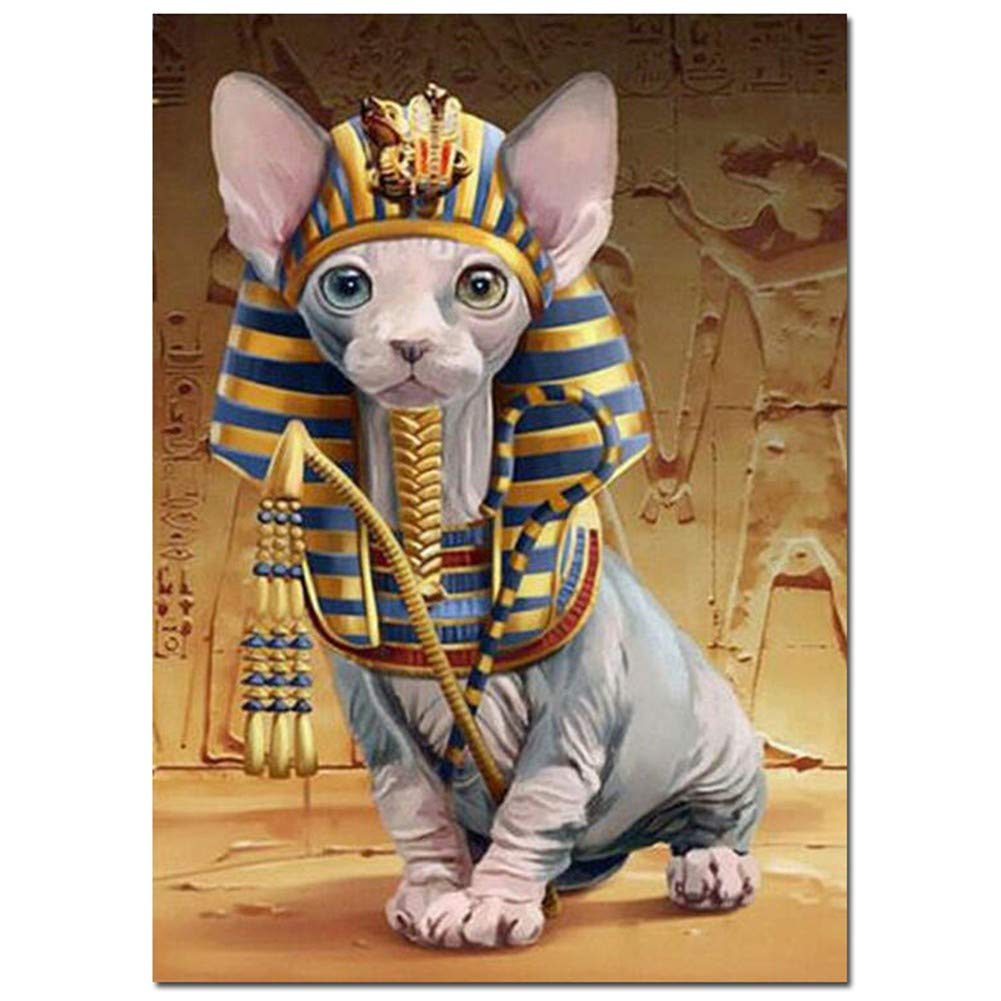 Zariocy 5D Diamond Painting Kit - Gatto Che Gioca Nell'Acqua, 30x40 Cm, Fai Da Te