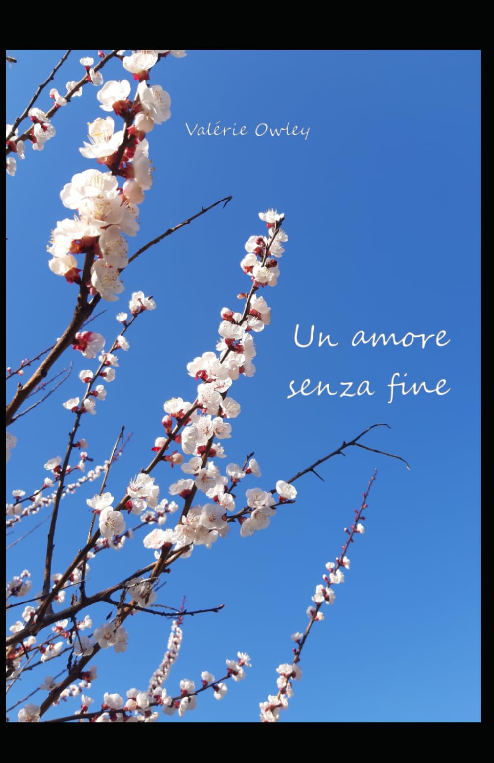 Un amore senza fine (Il casale Hofer)