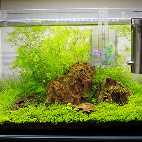 UKCOCO Small Plants Aquarium Plant Holder, Acrylic Aquarium er Hanging Fish Tank Water er - Image 3