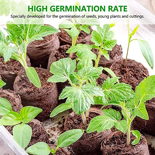 Nutroeno 200 Pcs (30Mm) Peat Pellets For Seedlings thumb #2