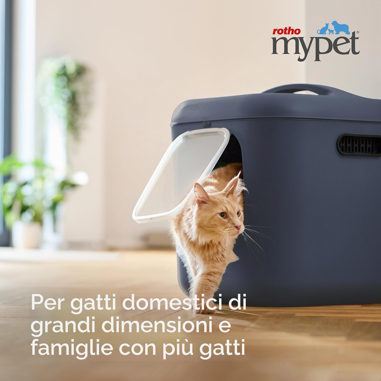 Rotho MyPet Bea - Lettiera per gatti XXL con cappuccio e pala, in plastica (PP riciclato), blu, 61,4 x 49,9 x 57,6 cm