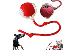 Interactive Dog Rolling Ball: Viral Dog Ball, Automatic Smart Pet Curiosity Chaser