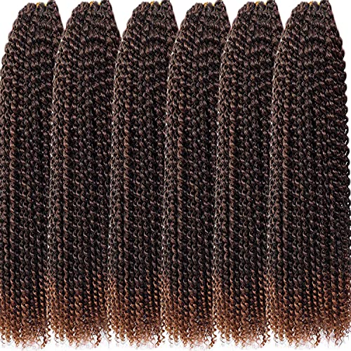6 Packs Passion Twist Hair 24 Inch