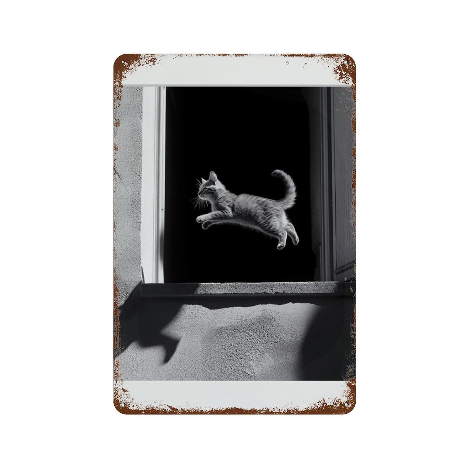 xiaoxiaoshen Cat Photography S1 Wall Decor Art Metal Tin Poster Modern Home Decor Art Home Bar Shop Decorations Vintage Sign 30x20cm