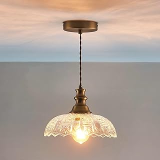 1-Light Pendant Light with Oil Rubbed Bronze Metal Glass Shade and Adjus...