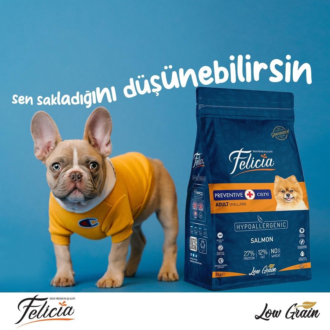 Felicia Az Tahıllı 3 Kg Yetişkin Somonlu Small/Mini HypoAllergenic Köpek Maması