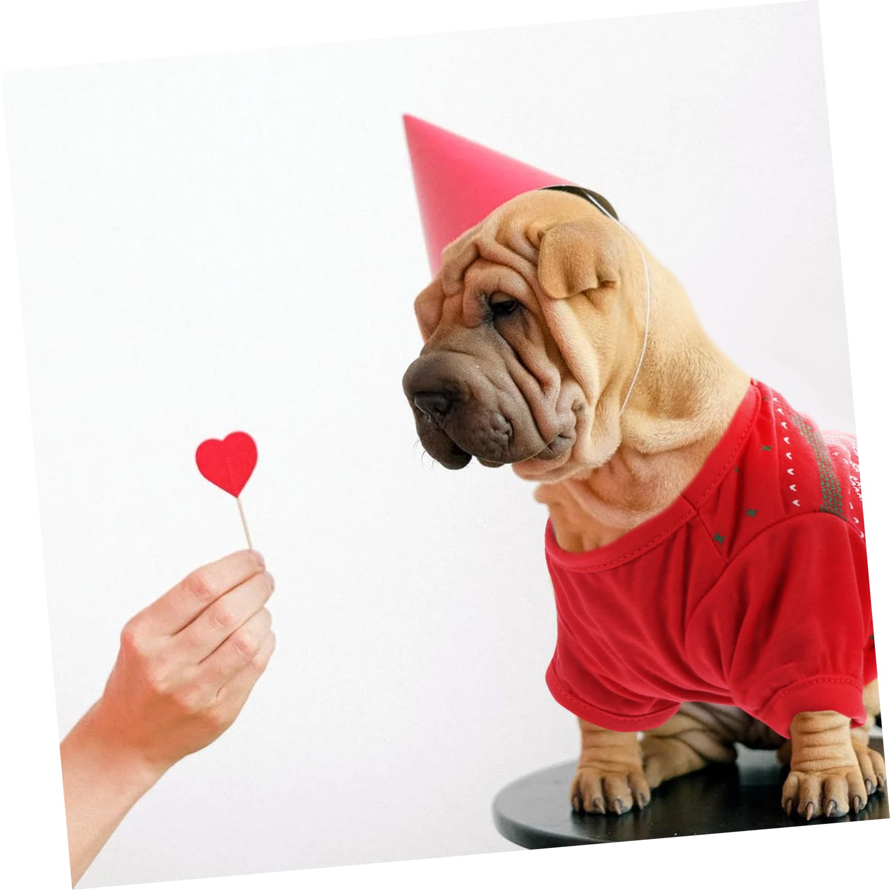HMJGDHX 2 Pezzi di Vestiti per Cani con Motivo Natalizio T-Shirt per Animali Domestici Adorabile per Occasioni di Festa