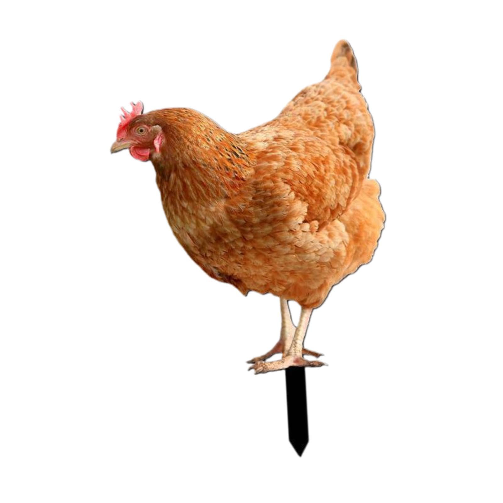 BNF®Garden Stakes Garden Decoration Chicken Sculpture for Outdoor Backyard Patio Style B|Home & Garden | Yard, Garden & Outdoor Living | Garden D?©cor |1 Garden Stake-image-41