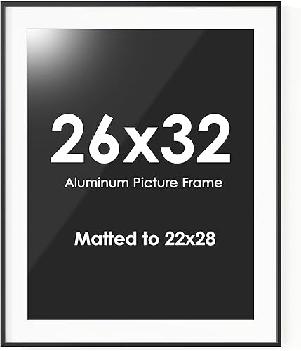 Miniatura 686 de Fun Memories Portarretratos de metal de 16 x 20 pulgadas con paspartú de 11 x 14 pulgadas, acabado de aluminio cepillado, parte delantera de vidrio