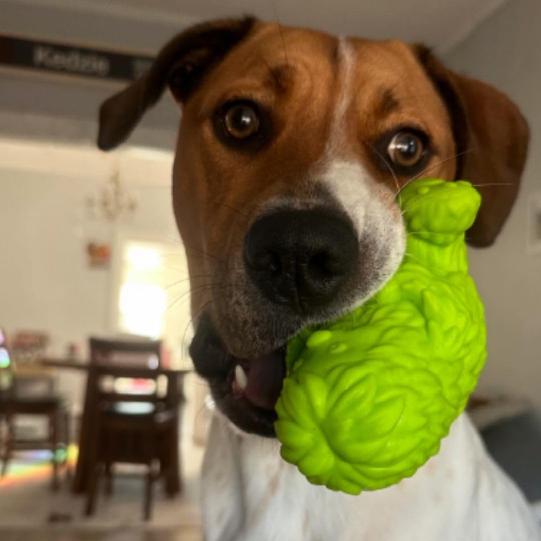 Yeti Puff and Play Hundespielzeug Interaktives Nuggets Leckerlis Spender Puzzle, Spaß Stimulierendes Kauspielzeug für Zahnen, Verhaltenstraining, Angstberuhigung, für leichte bis Moderate Kauer, Grün