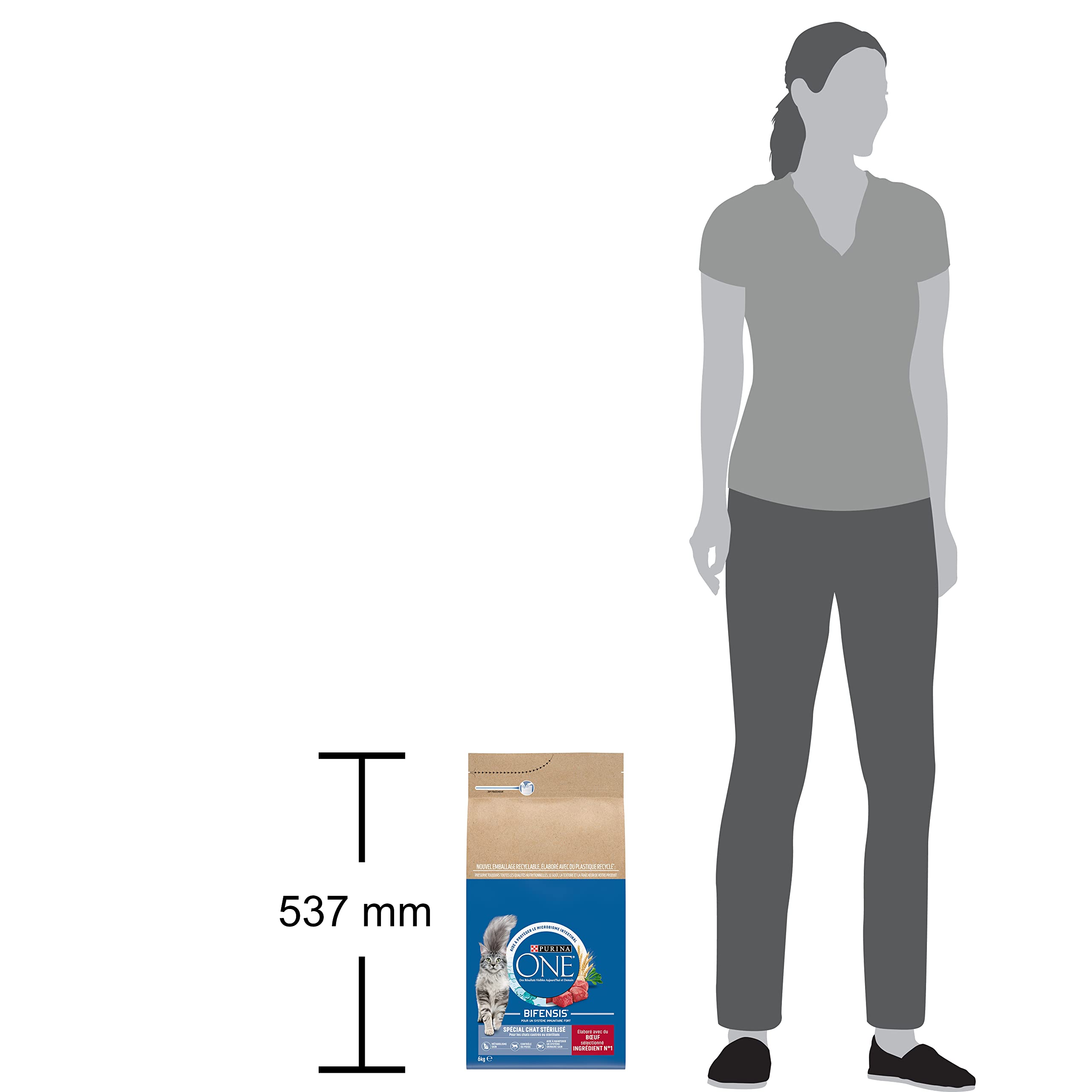 Purina One - Pienso para gatos adultos especial para gatos esterilizados - Saco de 6 kg. con croquetas de buey y al trigo