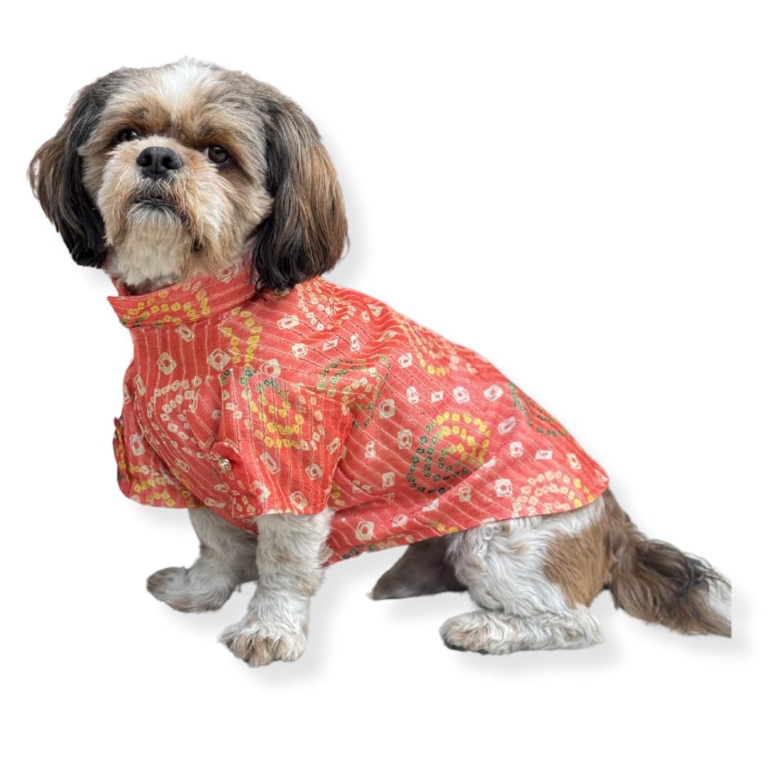 Pawgy Pets Peach Silk Kurta for Dog, Indian Ethnic Outfits (L) (B0DF2TVTT1) Amazon Price History, Amazon Price Tracker