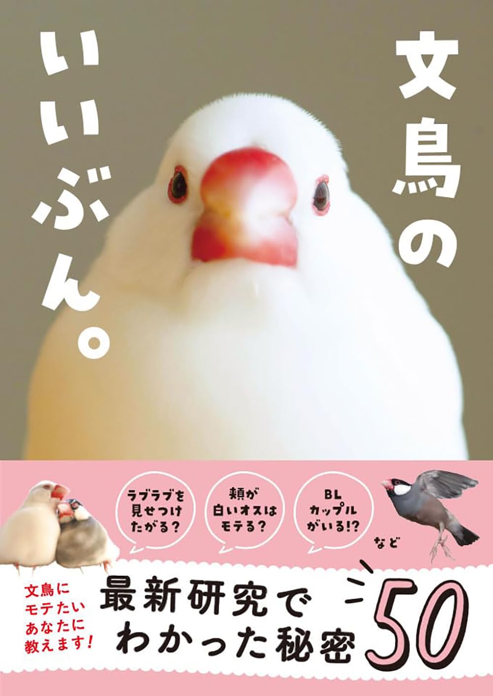 文鳥のいいぶん。 (いちばん役立つペットシリーズ) | 富田園子（著者