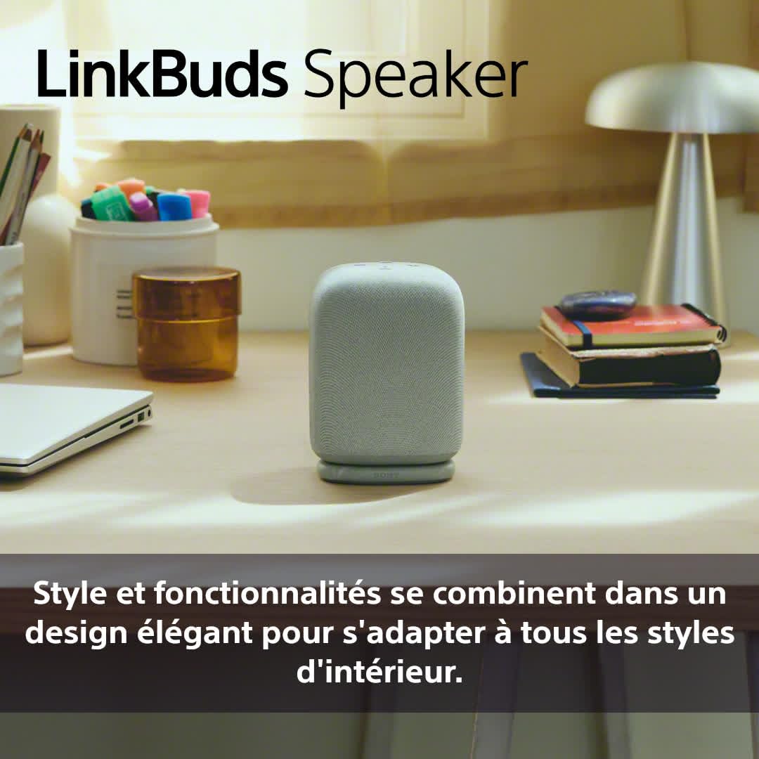 Sony Enceinte LinkBuds - Enceinte Portable sans Fil Bluetooth, IPX4, Résistante à l'eau, Batterie de 25 Heures, Qualité d'Appel Clair, Outdoor, Voyage - Noir