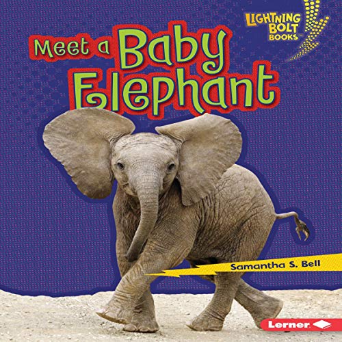 Meet a Baby Elephant by Samantha S. Bell episode artwork