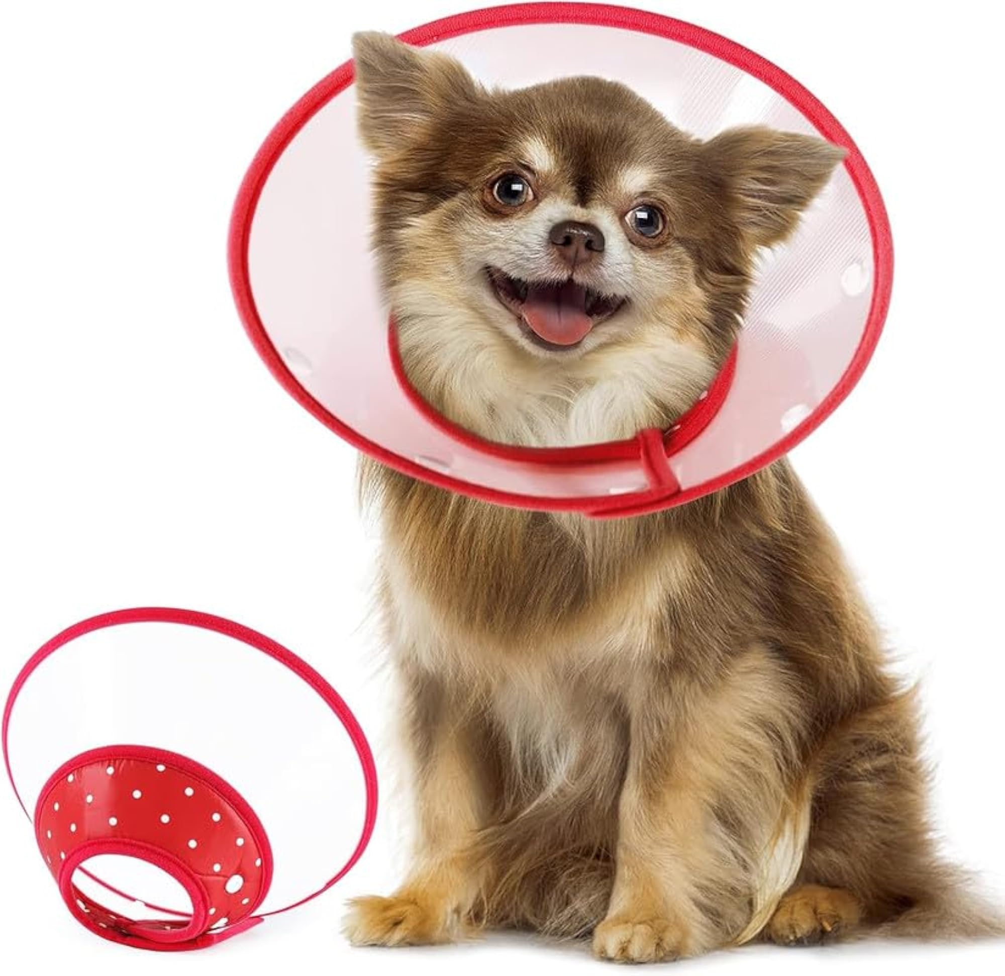 Adjustable Recovery Cone Collar for Cats & Dogs