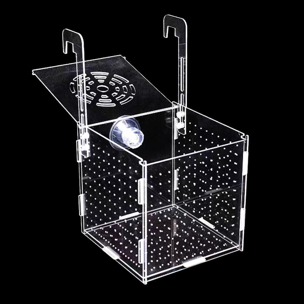 Fish Breeding Box, Acrylic Fish Isolation Box Separator for Shrimp Clownfish – 5.9 * 5.9 * 5.9 inches