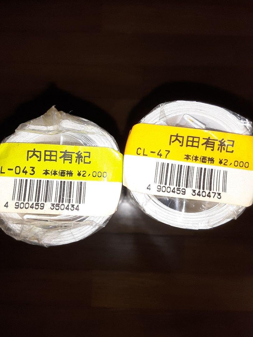Amazon.co.jp: 内田有紀 カレンダー 1999 2000 2本セット : 文房具