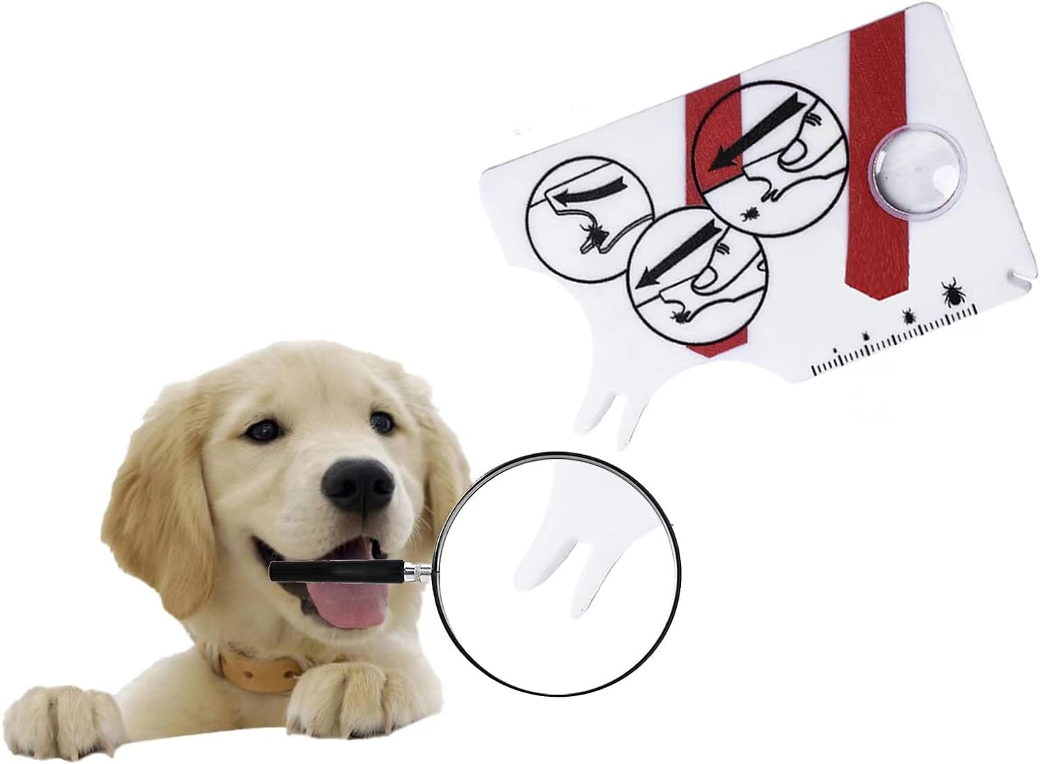 Tarjeta para garrapatas de 2 Piezas, Tarjeta para garrapatas humanas con Lupa para la eliminación rápida y cuidadosa de garrapatas en Animales domésticos o Humanos.