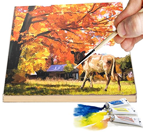 Daveliou 8”X8” Wood Canvas Boards For Painting, Arts, Crafts, Wood Burning, Shadowbox, Oils, Acrylics, And More (6 Pack) #TOP3