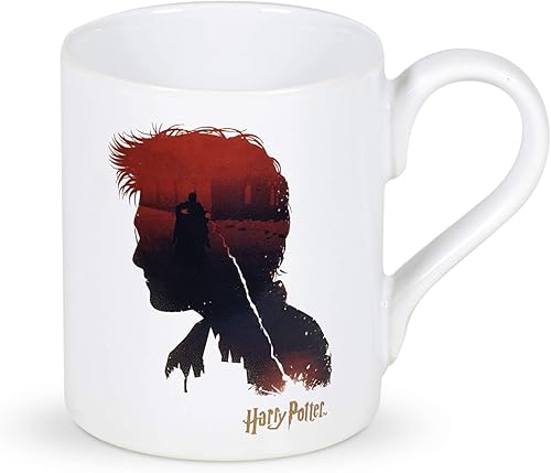 Enesco Wizarding World of Harry Potter Good vs. Evil - Taza de café, 16 onzas, multicolor