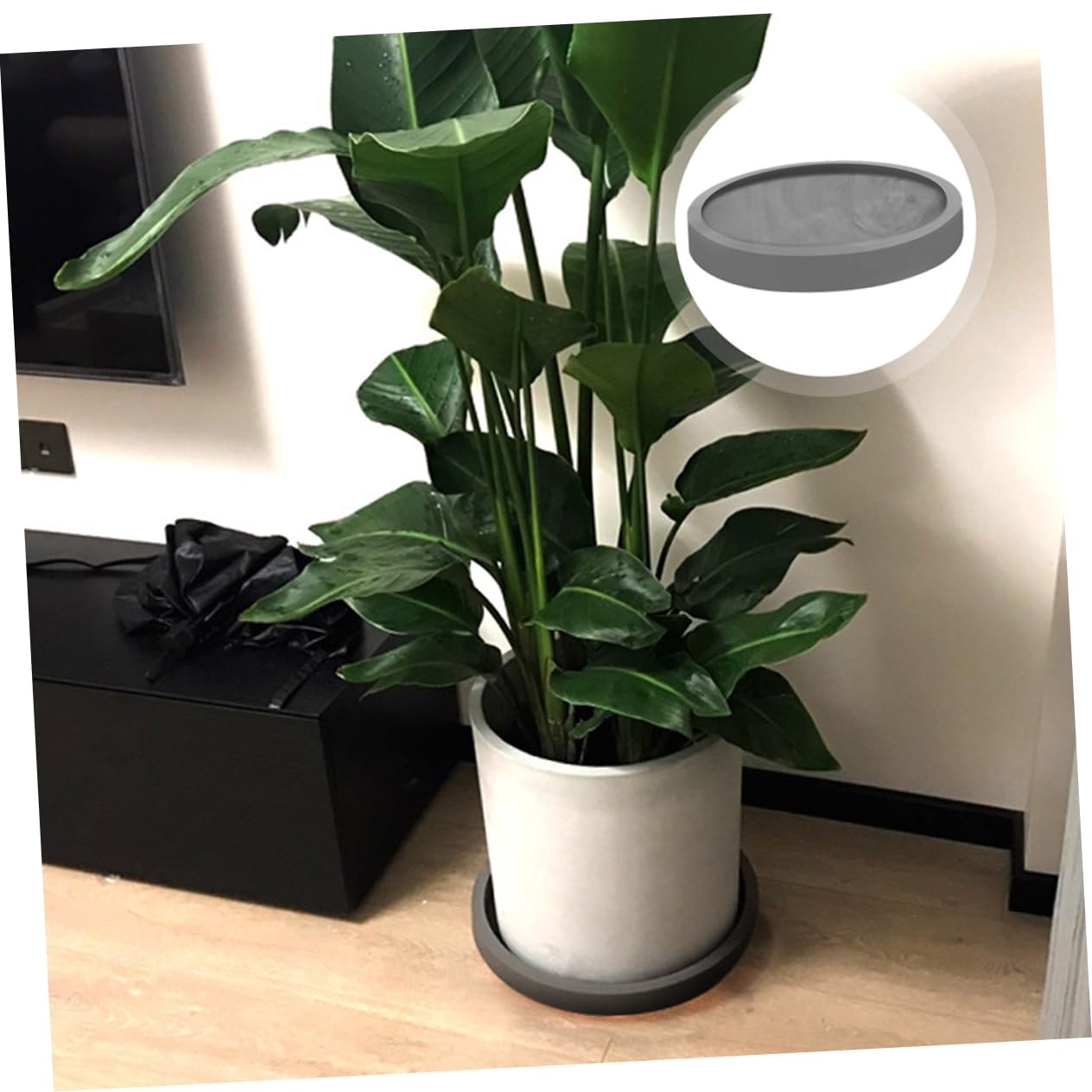 INOOMP Vassoio Rotondo per Piante Sottovaso Plastica per Fioriere Adatto per Interni Ed Esterni di Vaschette per Raccolta Design Nordic Style