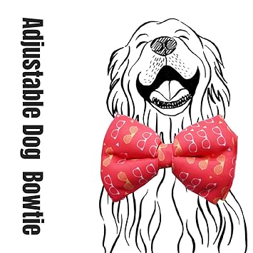 Lana Paws Funky Frames Dog Bow Tie/Bowtie, M-L