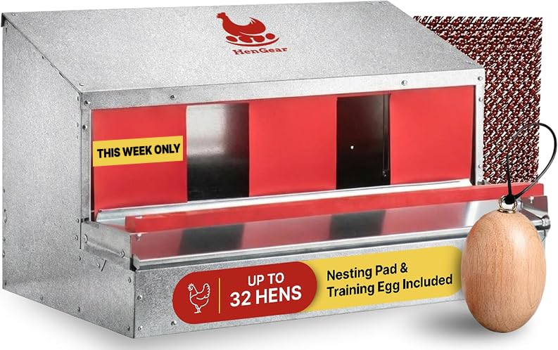 HenGear Reversible Rollout Box