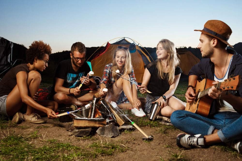 DIKER Grillspieße Teleskop Marshmallow, Stockbrot Stöcke Roasting Sticks Schaschlikspieße, Lagerfeuerspieße Edelstahl Ausziehbar, Grillstab, Grillbesteck Set für Camping Grill (8er Pack, Edelstahl)
